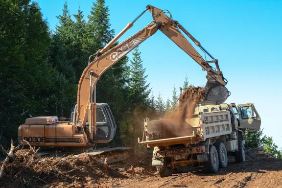 דנדי קזינו תמיכה